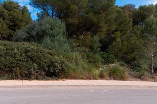 Terreny residencial a Ses Coves