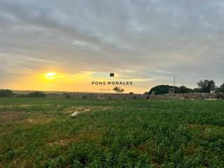 Masia a Ferreries poble. Finca menorquina con explotacin agrcola