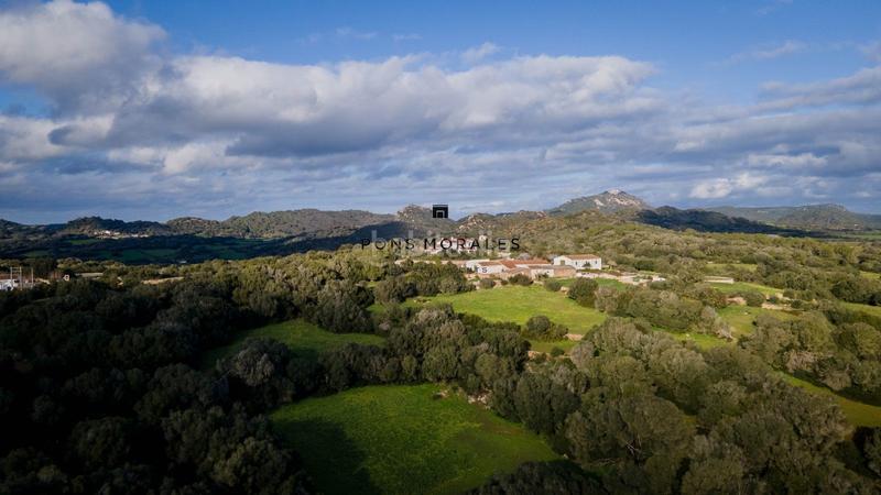 Foto 13eff3e6-587d-4d2f-a7c6-d588830bfbaa. Masía finca rústica en un agradable entorno en Alaior poble Alaior