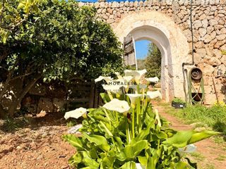 Masia  Sant antoni. Huerto rústico con safareig en ciutadella de menorca