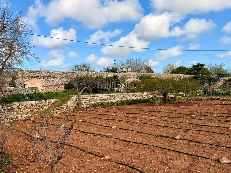 Foto b8787f2e-3daf-4514-8b7b-ffcbea096c83. Masia amb calefacció piscina a Cala Blanca Ciutadella de Menorca