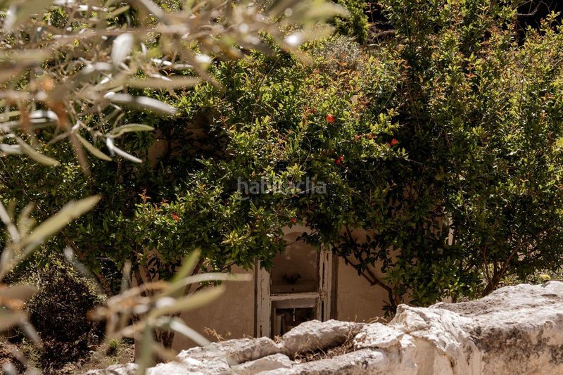 Foto efb4c4f4-2677-40f1-a2dc-8a46b0731673. Masia a Cala en Porter Alaior