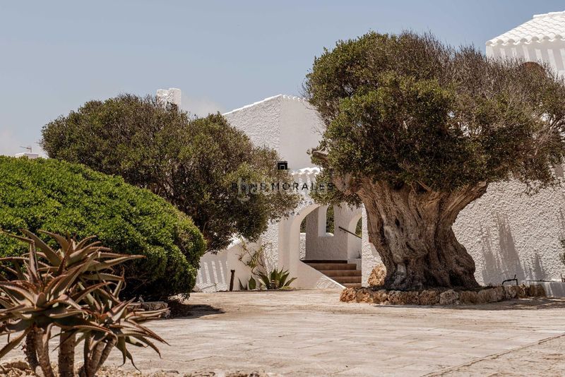 Foto fc2a9451-74e5-4c52-89b2-b12731dd14a8. Xalet amb calefacció aparcament piscina a Cala Morell Ciutadella de Menorca