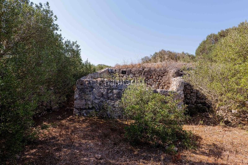 Foto 51388cab-9bf6-45ce-80e4-2b151a0182d4. Masia a Ciutadella Ciutadella de Menorca
