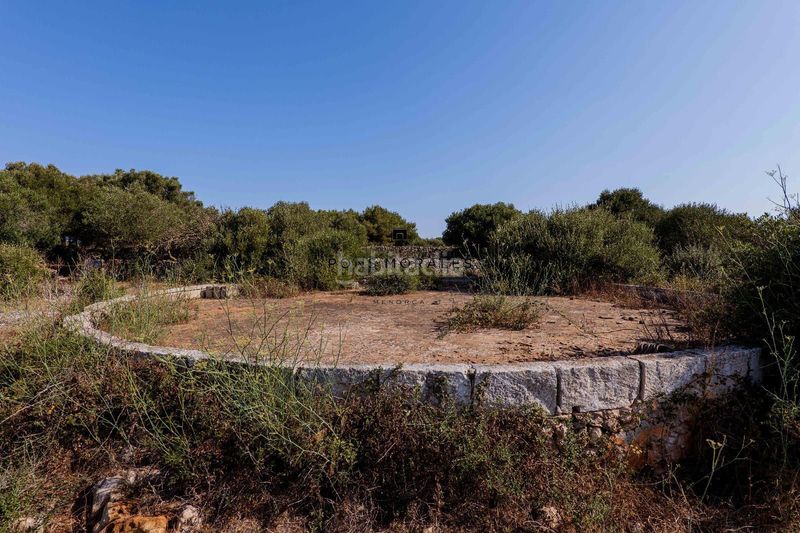 Foto 5706a516-68dc-4a9c-86f6-4b0b936bc286. Masia a Ciutadella Ciutadella de Menorca