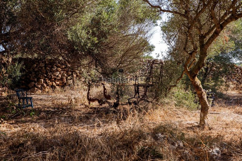Foto cc28b5a5-8654-4972-b0b6-fca4a30fb974. Masia a Ciutadella Ciutadella de Menorca