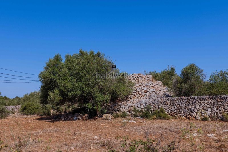 Foto d304198d-5deb-406d-a5d5-3b9e8a9a7cf3. Masia a Ciutadella Ciutadella de Menorca