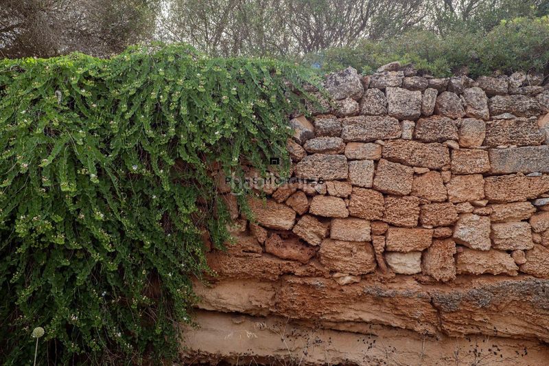 Foto f4f6d478-fd4c-45a3-8577-a6b3b369b991. Masia a Ciutadella Ciutadella de Menorca