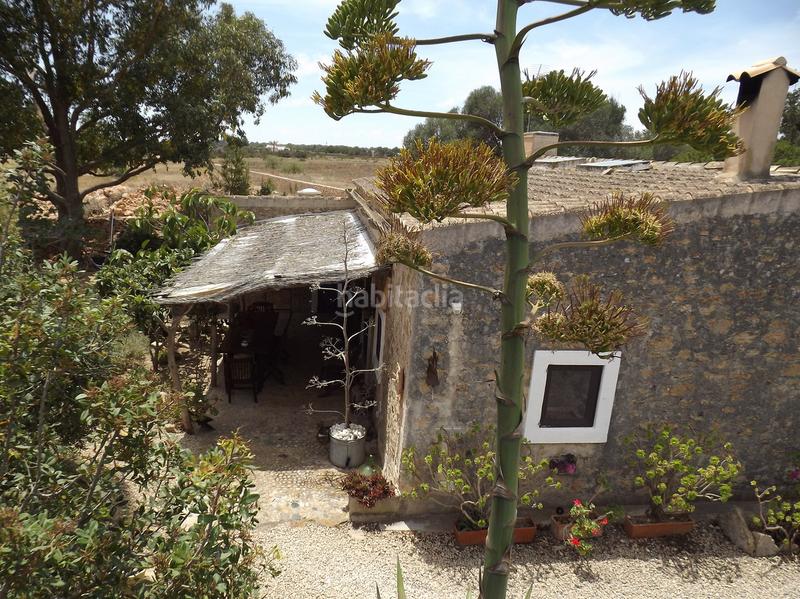 Foto 7ab37ce9-ac4e-4d98-8754-650cae3cc538. Masía casa payesa y apartamento con licencia turistica en Formentera