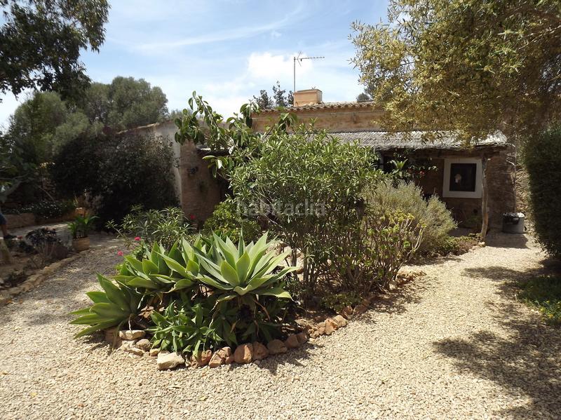 Foto cc5682d2-1ee7-4c17-8b03-7a74bcc8de4c. Masía casa payesa y apartamento con licencia turistica en Formentera