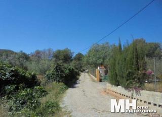 Finca rústica a Algímia de Alfara. Oportunidad !!