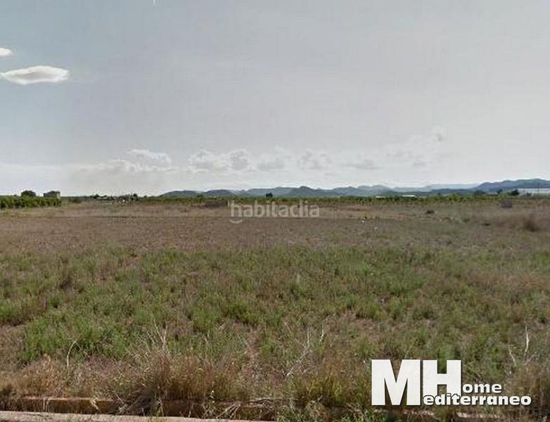 Foto d4ac5ba6-d98c-4d60-84f3-c88ee993236e. Fondo rustico in alqueria polígono 11 parcela 88 in Moncofa