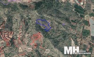 Fondo rustico  Corral blanch polígono 13 parcela 761. Oportunidad !!