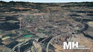 Finca rústica  Domingo poligono 12 parcela 207. Oportunidad !!