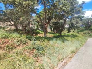 Terreno residencial en Roca Grossa. Turó de lloret