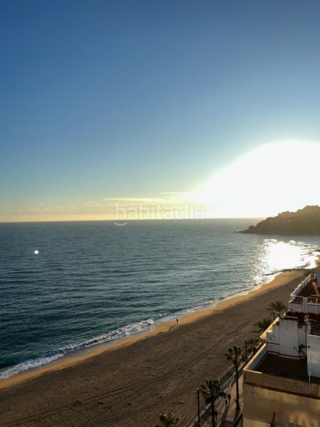 Foto 865b3dca-27c5-42ff-989d-0a9d0bf61757. Pis a Centre Lloret de Mar