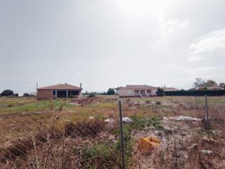 Mas  Ds cuadra nueva. Fantásticas casas de campo en dolores, alicante, costa blanca