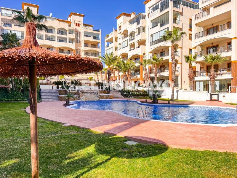 Foto 0dfac0dc-1968-4f9f-84c8-d9ab0d88a817. Piccolo appartamento con riscaldamento parcheggio piscina in Guardamar del Segura