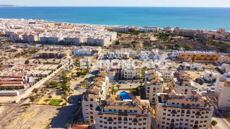 Foto 8f88cfcc-4d00-4d3b-9a93-890709ddd863. Piccolo appartamento con riscaldamento parcheggio piscina in Guardamar del Segura