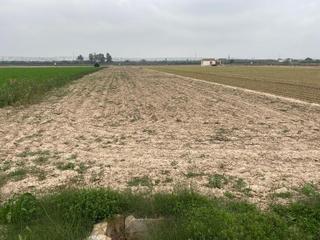 Rural plot  Https://maps.app.goo.gl/sqweupvz1zjxjfjo8