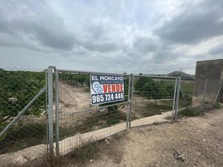Finca rústica  Camino lo lentao. Bancal de huerto dedicada a la producción de cítricos con una al