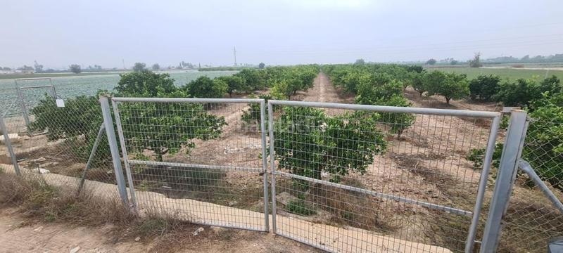 Foto 01317850-8c98-4594-9487-989939bb4c84. Fondo rustico in Rojales