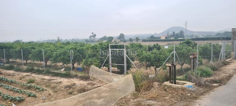 Foto 157bbac3-e5a3-476e-be34-44f3a805fcc9. Fondo rustico in Rojales