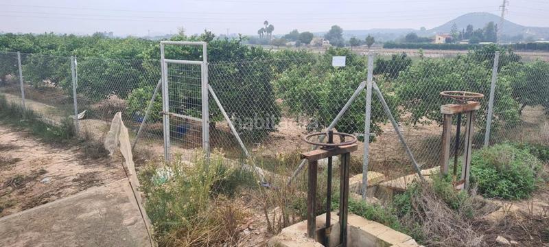 Foto 67c705f9-bb24-435d-b75b-5b2ac48138bf. Fondo rustico in Rojales