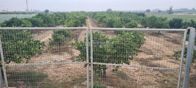 Foto 839cecca-ca13-4b56-8c98-9fb11287aafe. Fondo rustico in Rojales