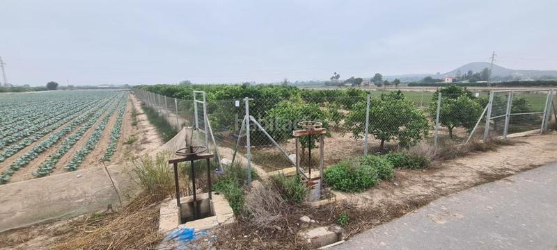 Foto 9b00f80f-ca73-46d1-8040-12b9e060f53d. Fondo rustico in Rojales