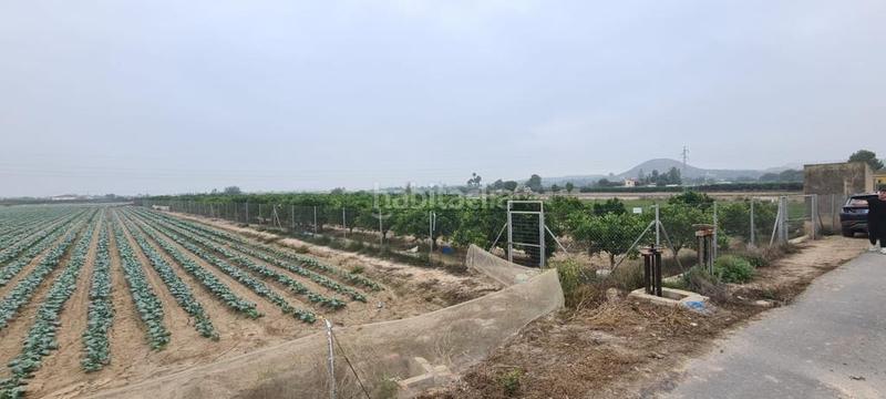 Foto a7e471a9-167c-41ce-a418-9e4a69b4d0aa. Fondo rustico in Rojales