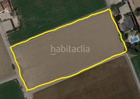 Foto 5f0e5b81-88bc-4c9c-985b-c03df3e62c78. Finca rústica a Dolores