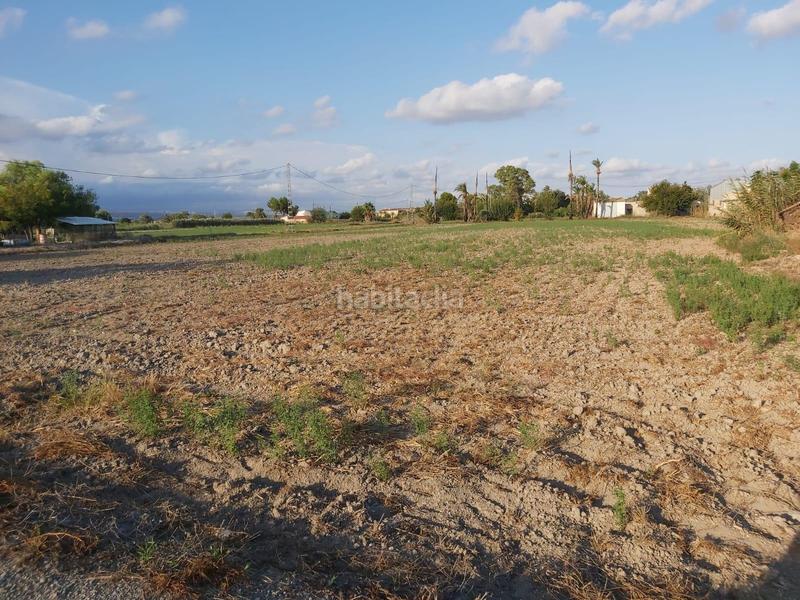 Foto 51f1fd35-ee5e-42b6-8ed5-5bb1da465b38. Wohngrundstück in Crevillente