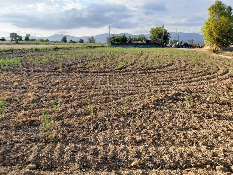 Foto d12b39cc-d11e-466e-bec7-d23a2bc099d9. Wohngrundstück in Crevillente