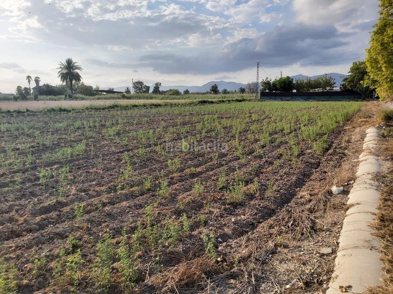 Foto d5974265-319b-4ea1-ba84-252108d3e5c7. Wohngrundstück in Crevillente