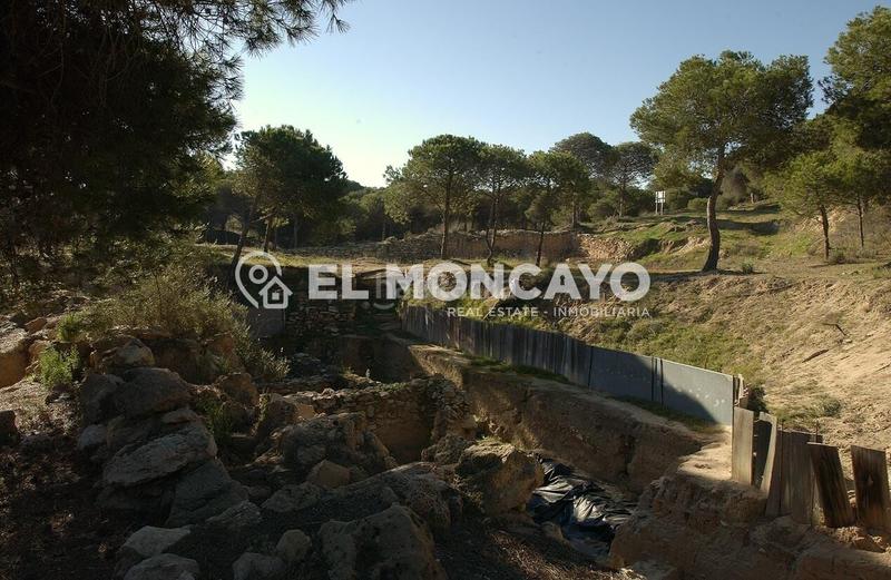 Foto 025962cc-109f-439d-8f4c-df750c4636b0. Terreno residenziale in Formentera del Segura