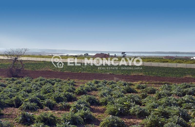 Foto 757e2463-6583-4b25-a98b-2bded3be2bff. Terreno residenziale in Formentera del Segura