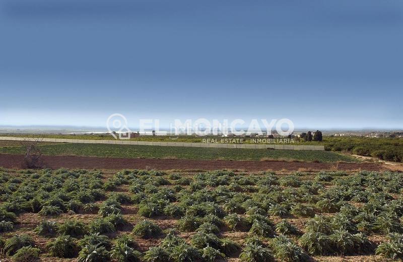 Foto de32f18d-0c66-474a-b58b-5f98bde6a938. Terreno residenziale in Formentera del Segura