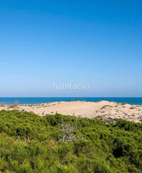 Foto 8a682aa9-2614-419d-87f6-0504a7b6bb66. Ático fantástico ático con impresionantes vistas al mar y a la emblemática pinada en Guardamar del Segura