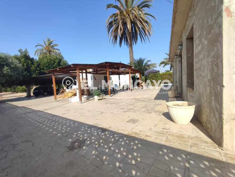 Foto 02b91c47-fa95-43cb-b626-308c7258d4d8. Chalet fantástica casa de campo con amplia parcela junto al pinet, La Marina, alicante en Elche / Elx