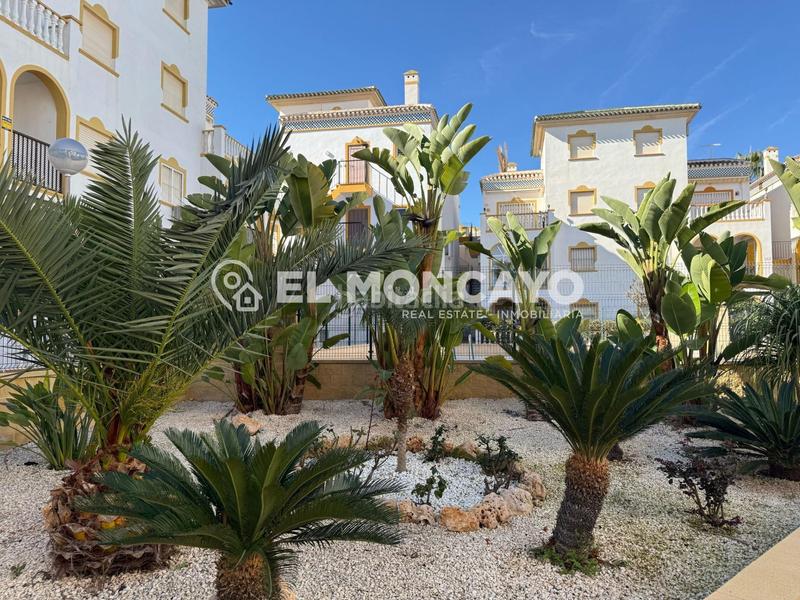 Foto 45dabe23-6b5f-4650-954e-af2b4d4e685c. Maison avec piscine dans Cañada del Molino Torrevieja