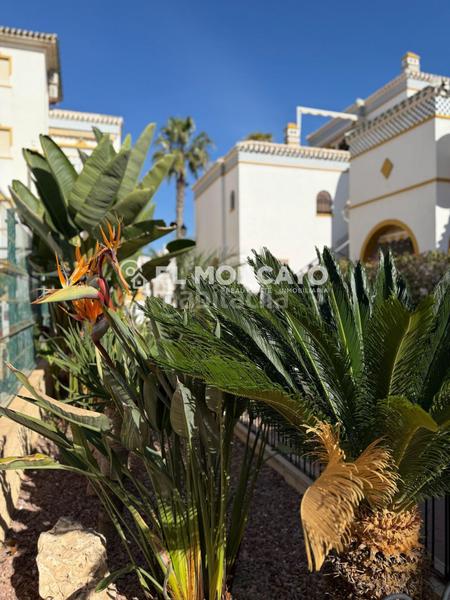 Foto 85267097-f1de-4e50-9332-6426790dfe7c. Maison avec piscine dans Cañada del Molino Torrevieja