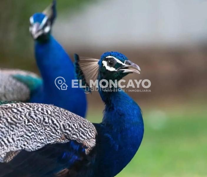 Foto a3758a03-db5e-497b-a8ba-1014eea70bf8. Chalet fantástico chalet independiente cerca del exclusivo campo de golf la marquesa, en ciudad quesada, en Rojales