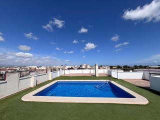 Apartament  Calle calle de colón, 35. Estupendo apartamento en planta baja con piscina comunitaria en