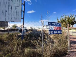 Terreny residencial  Cl velazquez. Amplia parcela comercial en lo grané, san fulgencio, junto a la