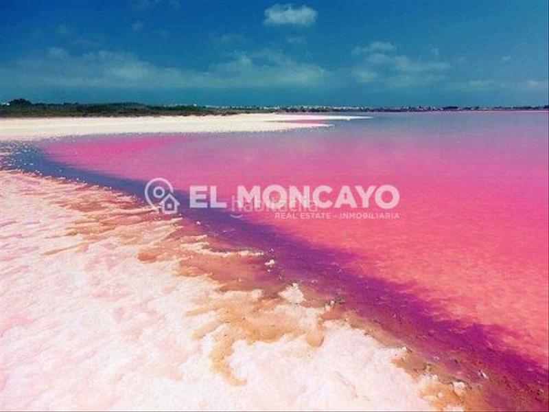 Foto 0ac0975d-d70b-4d61-b45c-8900f94056fe. Terreny residencial a San Fulgencio