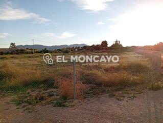 Mas à La Murada - Los Vicentes. Fantástica finca rústica con amplia parcela con limoneros en la