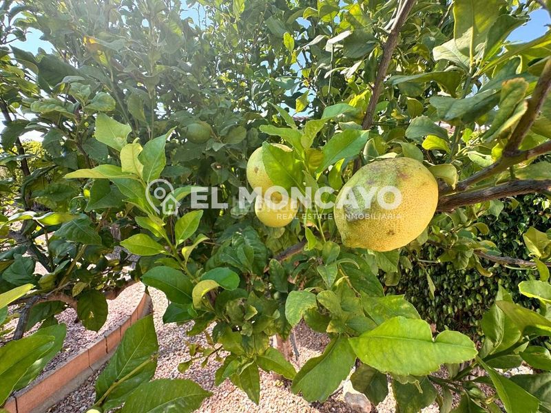 Foto 1db57b99-f3bd-4b5b-bfe4-5e0c7b1faa69. Xalet amb calefacció aparcament piscina a Centro de la Ciudad Quesada Rojales