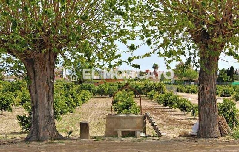 Foto f5886e25-e90d-4bf2-be27-59799d5c937c. Apartament amb calefacció a Benijófar