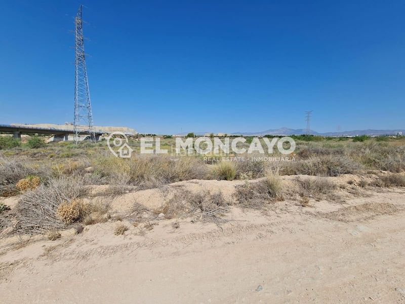 Foto 4d589c0f-a5c1-401b-8335-27f095db10dd. Finca rústica a Paus - Polígono San Blas Alicante